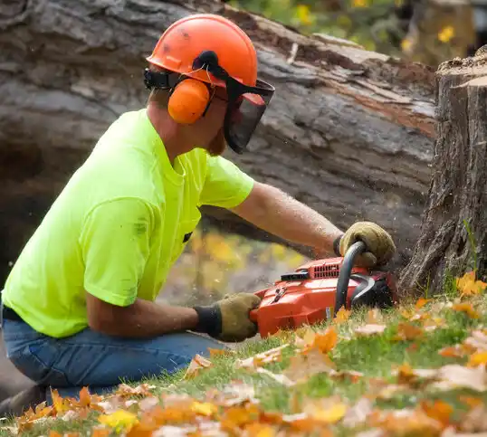 tree services Sicily Island